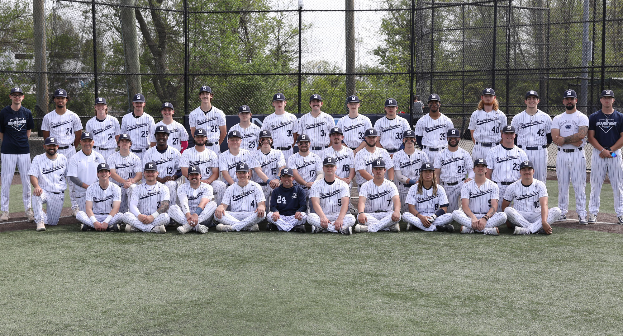 2025 Penn State Brandywine baseball team