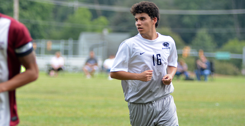 Brandywine Too Much For Scranton In Rout