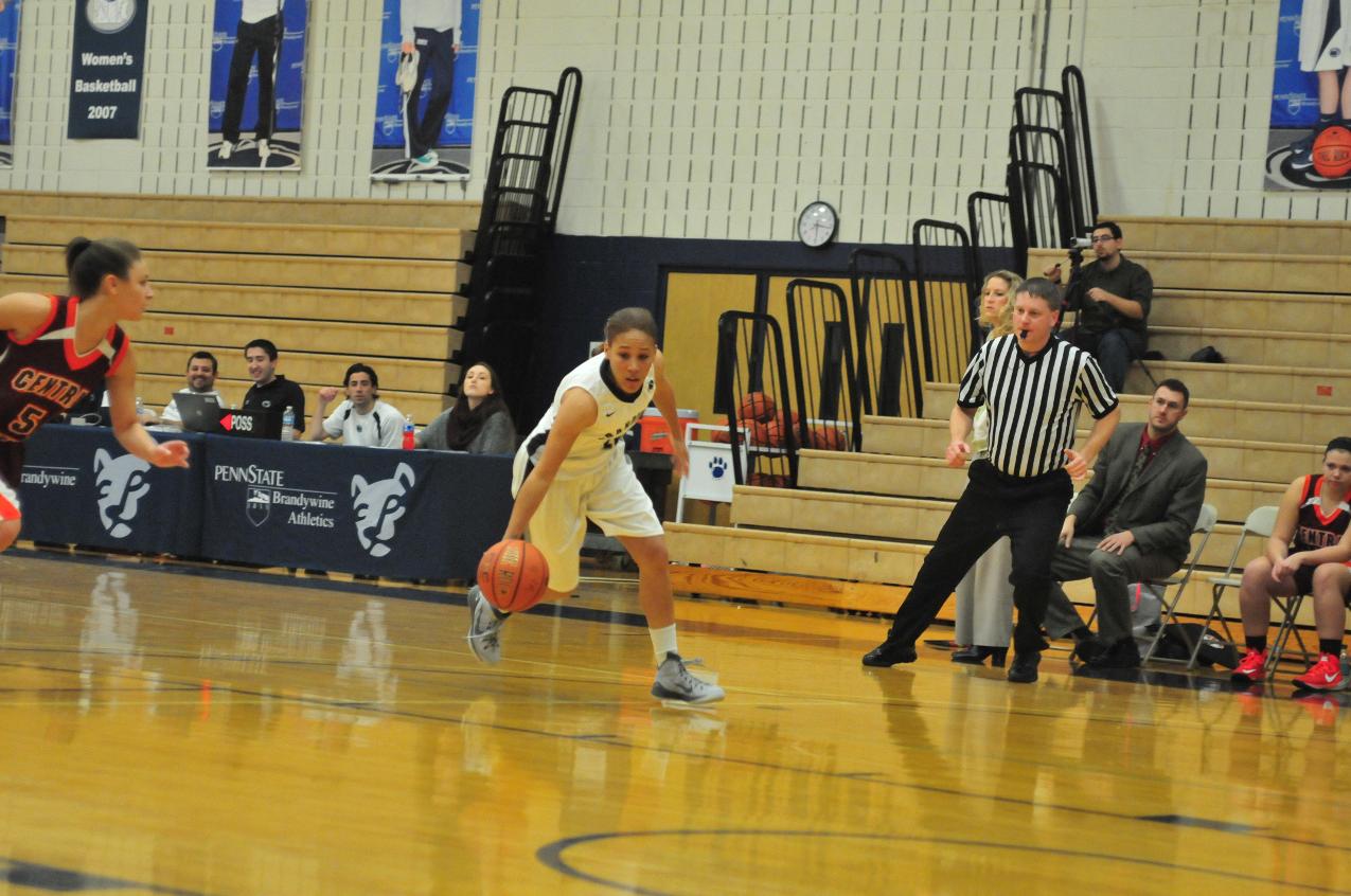 Brandywine Falls Short Against Rosemont
