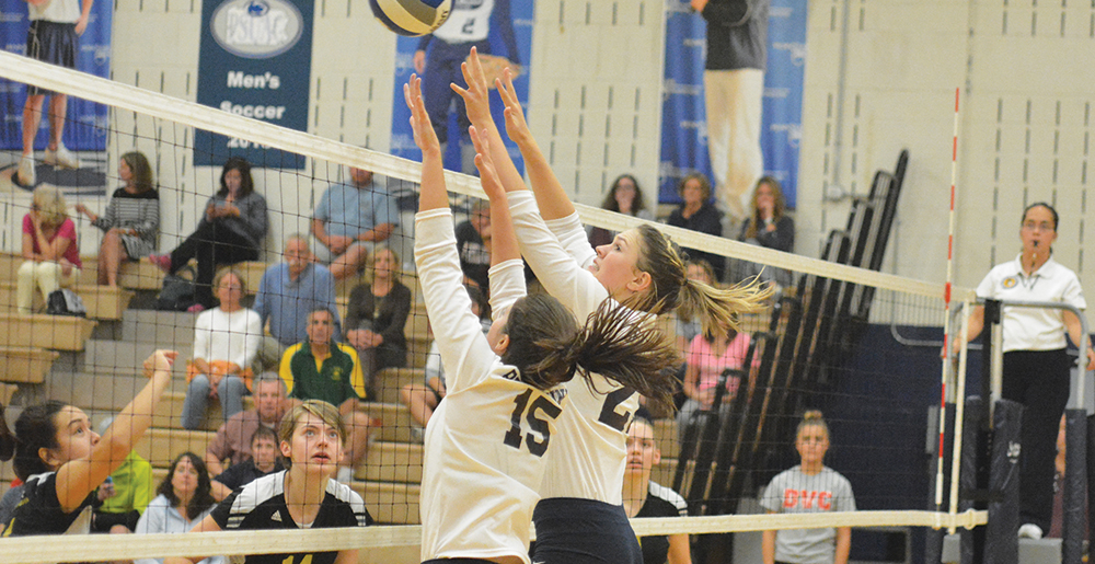 Lions&rsquo; Rally Falls Short Against Bryn Mawr
