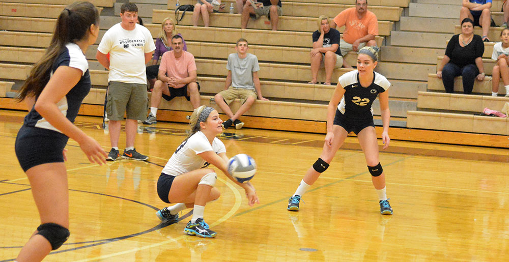 Lions Knock Off Lehigh Valley And Hazleton