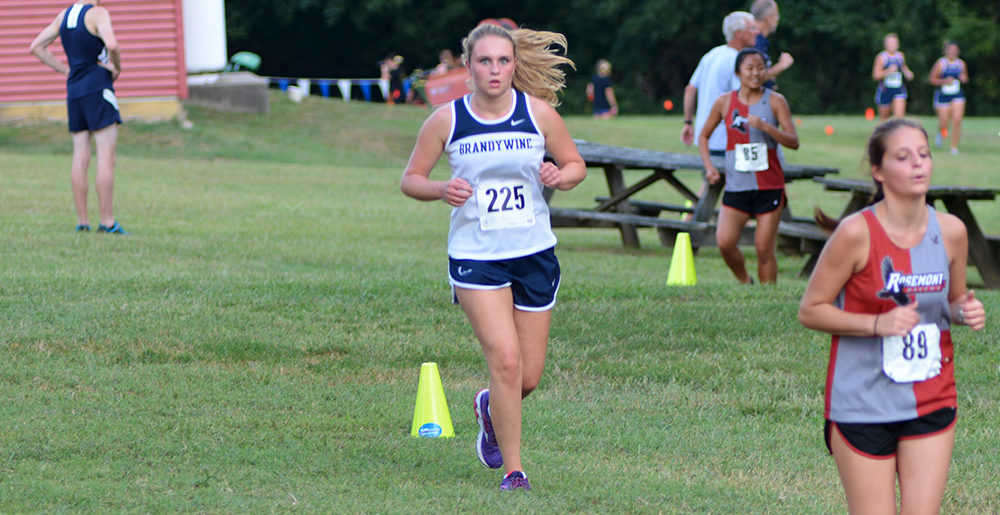 Lions Run At Haverford Invitational In Final Regular Season Tune-Up