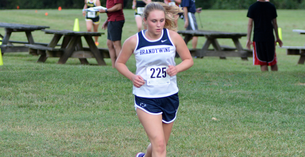 Lions Run At Haverford Invitational In Final Regular Season Tune-Up